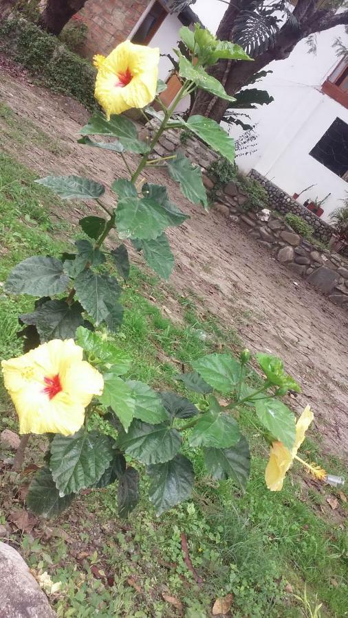 Residencial Valle Sagrado-Vilcabamba Zewnętrze zdjęcie